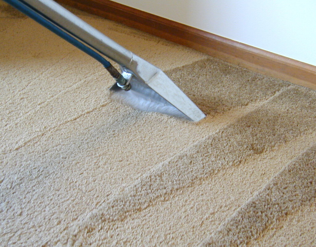 carpet being steamed